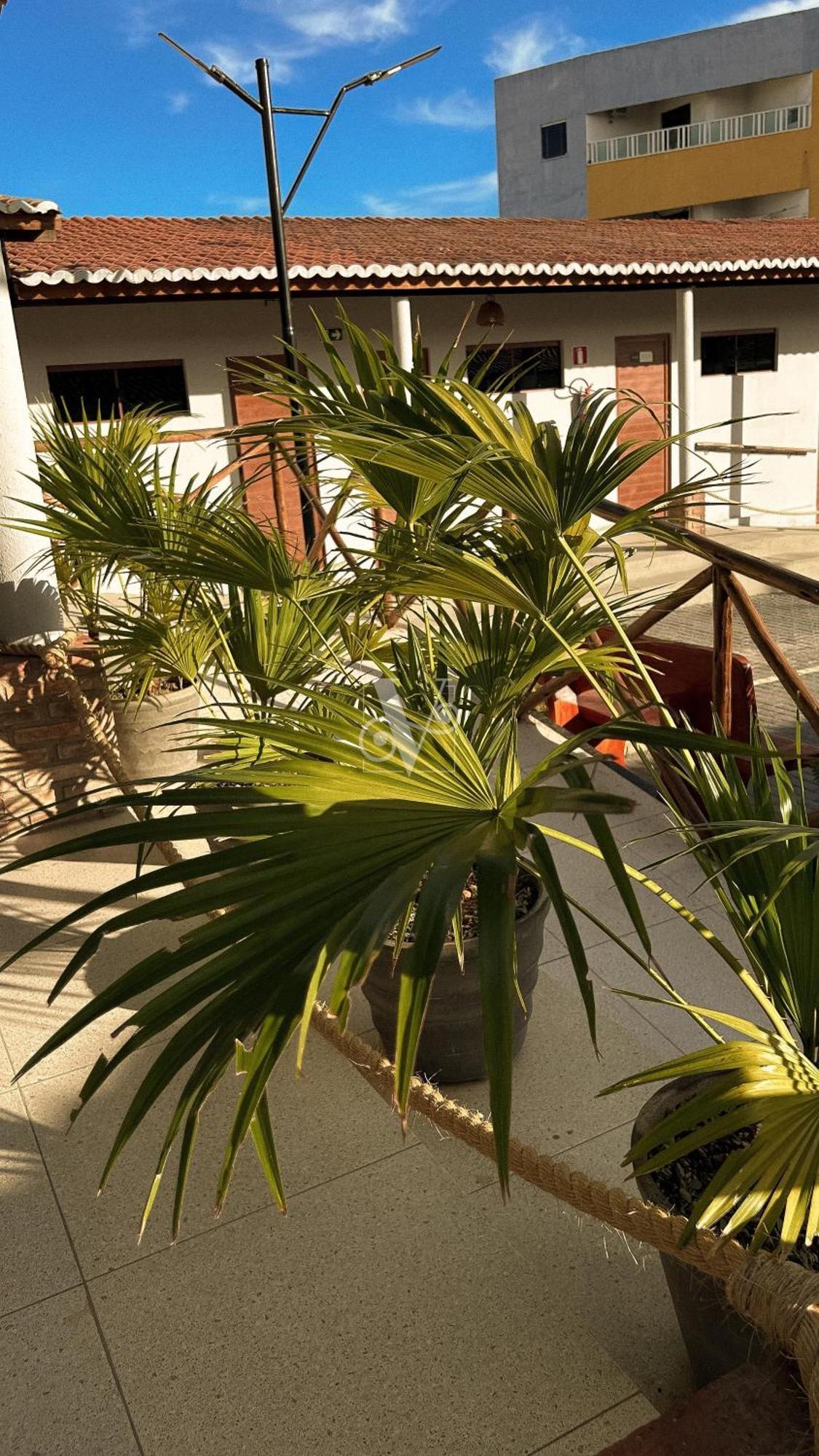 Village Comfort Hotel Canindé de São Francisco Zewnętrze zdjęcie